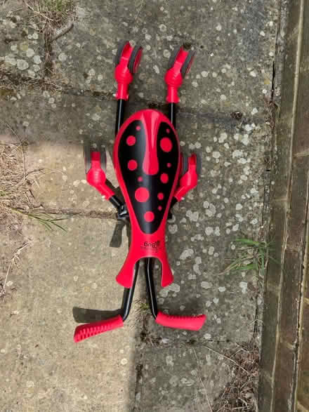 Photo of free Scramble bug (RH12) #1
