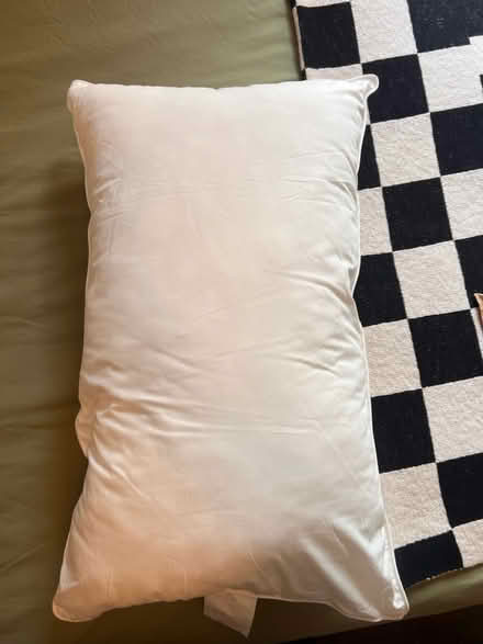 Photo of free Brand New (Unused) IKEA Pillow (SE22) #3