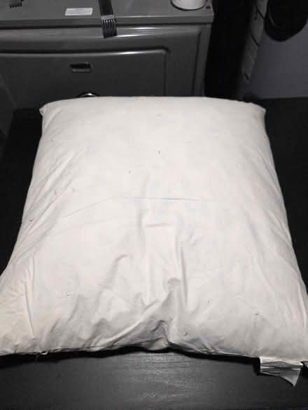 Photo of free Throw pillow insert (Brentwood) #1