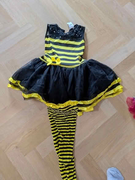 Photo of free Bee costume (Thorpe bay SS1) #1