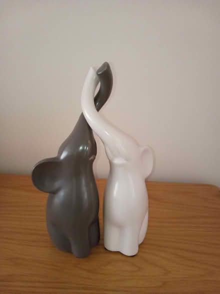Photo of free Porcelain elephants (Elvaston Meadows DE72) #1