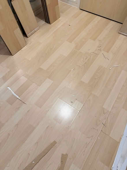 Photo of free laminate floor with underlay (Tooley Street SE1) #1