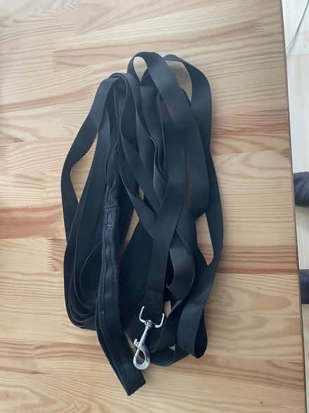 Photo of free Black dog training lead (Summertown OX2) #1