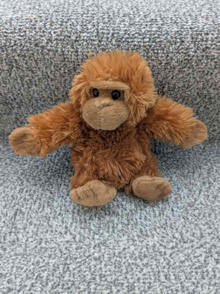 Photo of free Small Soft Monkey (Beulah Hill SE19) #1