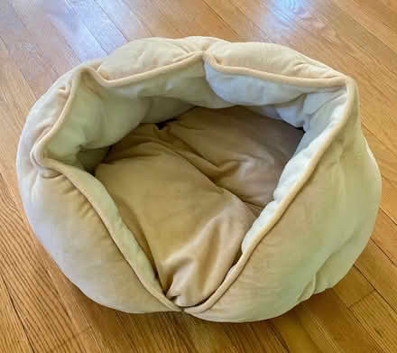 Photo of free Cat bed (Downtown) #1