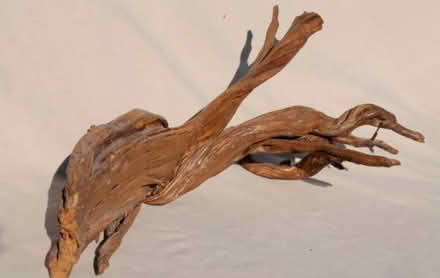 Photo of Driftwood (Cathays CF24) #1