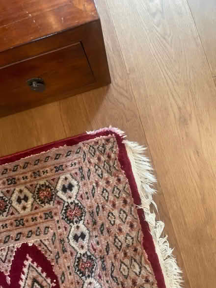 Photo of free Area Rug 124 cm x 195 cm w/fringe (St. John's Wood NW8) #1