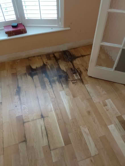 Photo of free Engineered oak flooring (Porthtowan TR4) #1