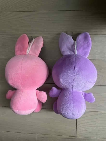 Photo of free Hello kitty in bunny costume (Kennedy/16th in Markham) #2