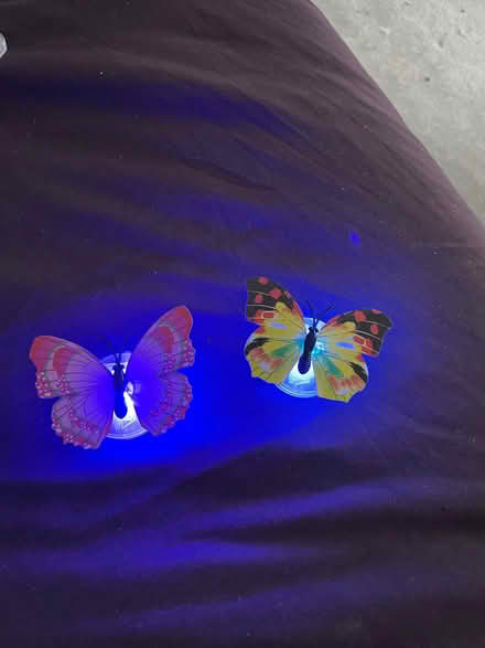 Photo of free Flashing butterflies decoration (Wandsworth SW18) #1