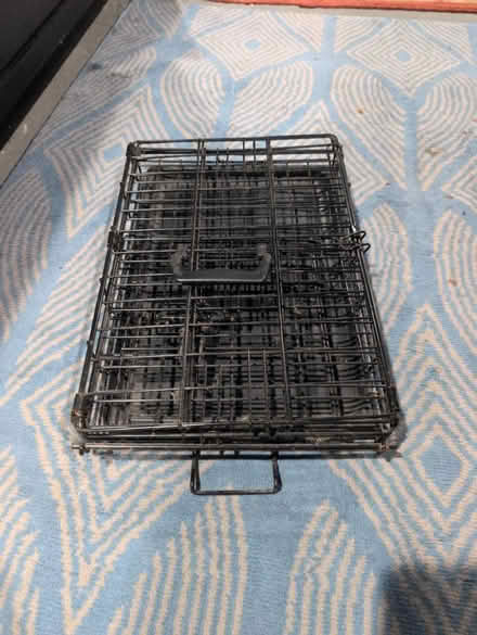 Photo of free Collapsible animal crate (Brentwood) #2