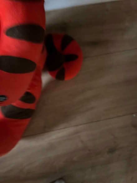 Photo of free Big Tigger (Bromsgrove B61) #3