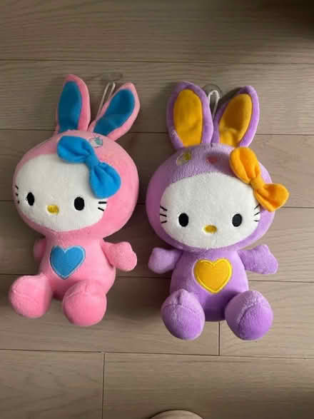 Photo of free Hello kitty in bunny costume (Kennedy/16th in Markham) #1