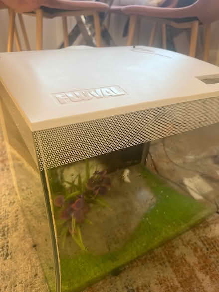 Photo of free Fluval fish tank 57l with filter (Blaby LE8) #2