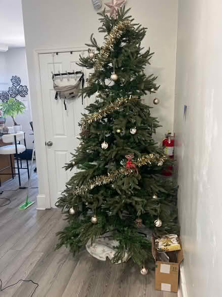 Photo of box(es) to help me put tree away (Nicetown-Tioga) #1