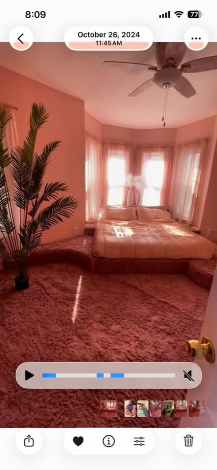Photo of free Sheer pink curtains (Winter Hill) #1