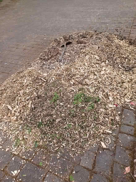 Photo of free woodchips (Kirkintilloch area) #1