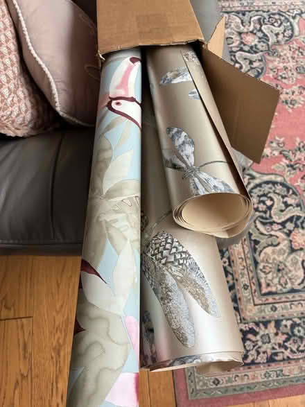 Photo of free Wallpaper for Craft Use (Havant PO9) #1