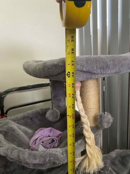 Photo of free Small Cat Tower (North York) #2