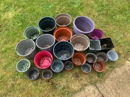 Photo of free Plastic Plant Pots (Christchurch) #2
