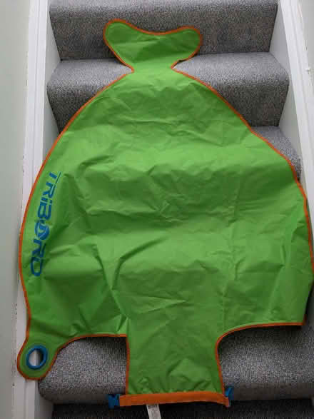 Photo of free Inflatable Float (Beulah Hill SE19) #1