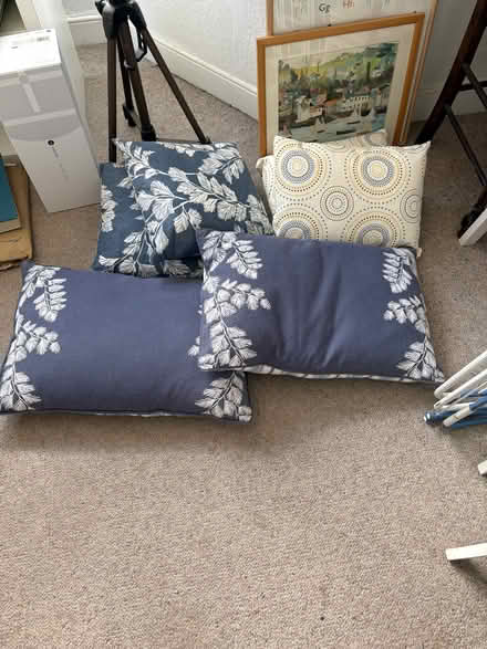 Photo of free Cushions (Fairfield Park BA1) #1