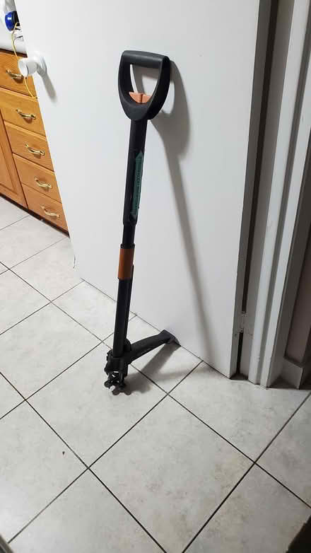 Photo of Dandelion Extractor (QEW & Erin Mills Pkwy) #1