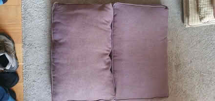 Photo of free 2 large sofa cushions (Hartington Road BN2) #1