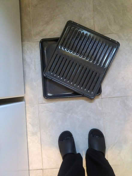 Photo of free Roasting pan (shady grove and 355) #1