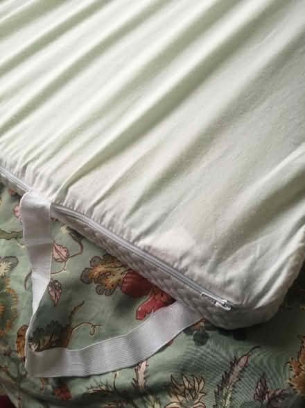 Photo of free Foam topper for single mattress (Craiglockhart EH14) #3
