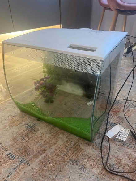 Photo of free Fluval fish tank 57l with filter (Blaby LE8) #1