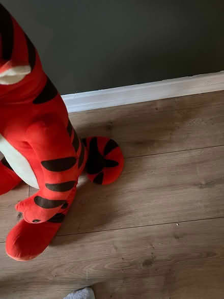 Photo of free Big Tigger (Bromsgrove B61) #2