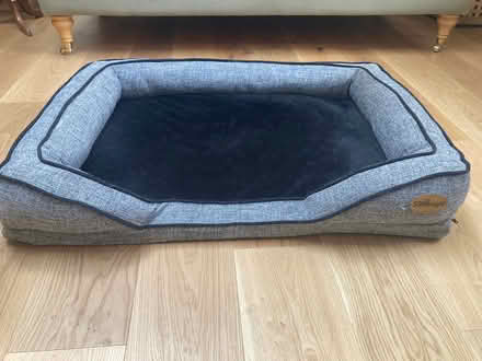Photo of free Silent night dog bed (Linton HR9 7RY) #1