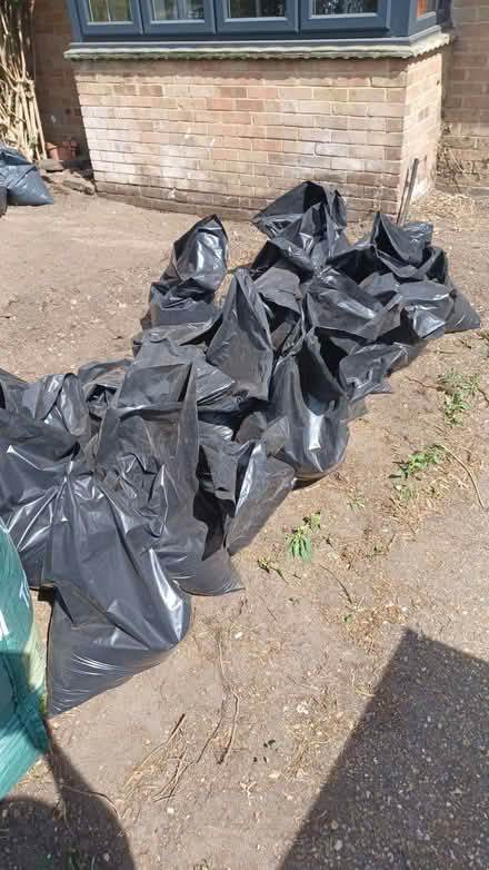 Photo of free excavated garden soil (SW15) #3