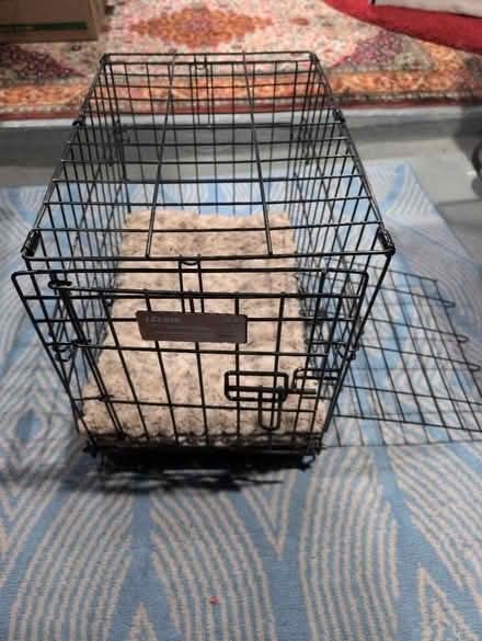 Photo of free Animal crate with mattress (Brentwood) #1