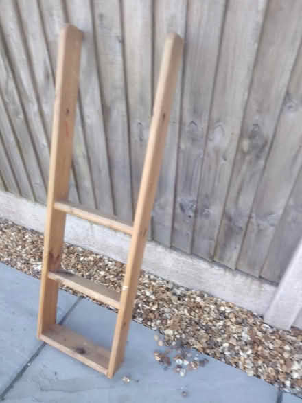 Photo of free Cabin bed ladder (Pensby CH61) #1