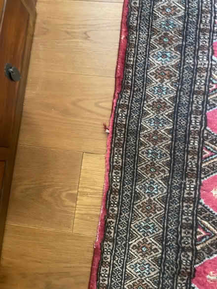 Photo of free Oriental style rug 113cm x 203 cm incl fringe (St. John's Wood NW8) #3