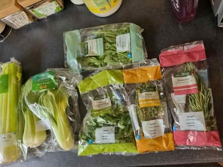 Photo of free Vegetables & herbs fresh (SE20) #1