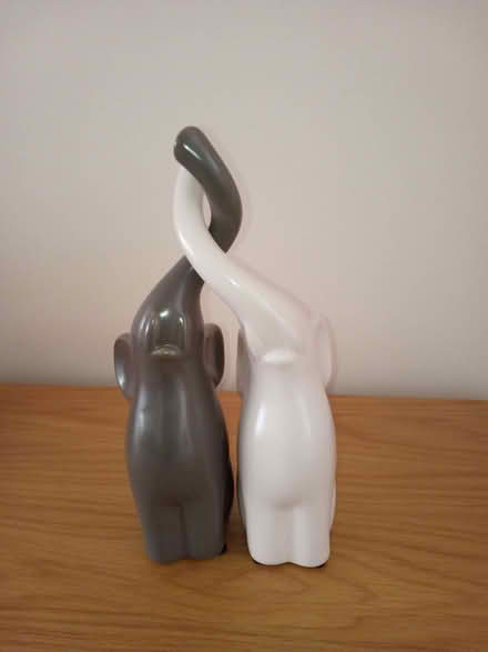 Photo of free Porcelain elephants (Elvaston Meadows DE72) #2