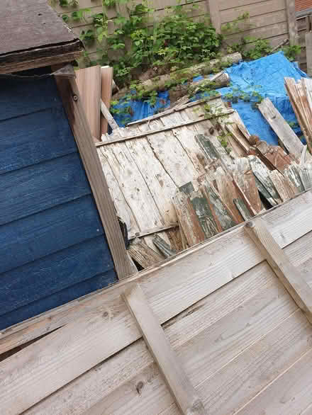 Photo of free Assorted wood BL4 (Kearsley BL4) #2