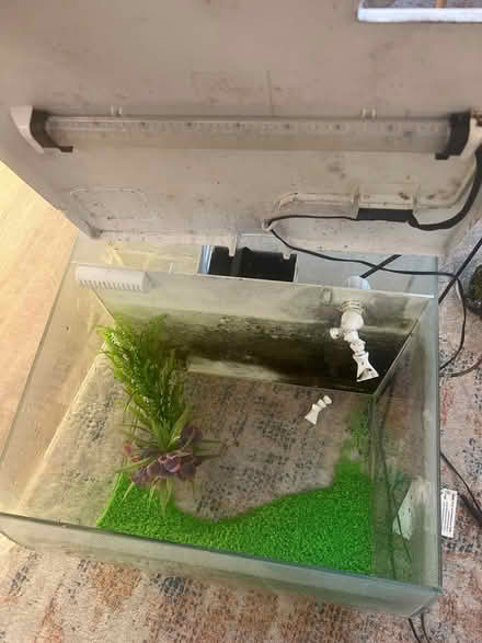 Photo of free Fluval fish tank 57l with filter (Blaby LE8) #4