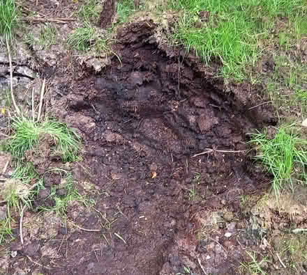 Photo of free Rotted horse manure (Pant SY10) #1
