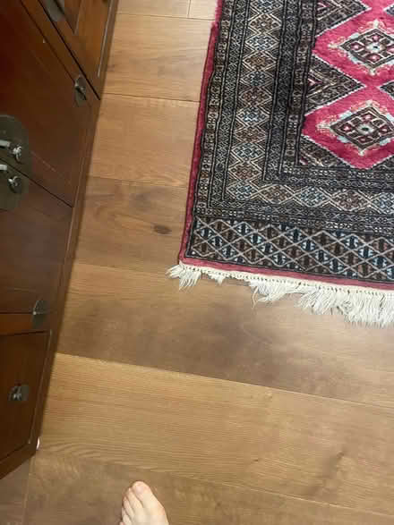 Photo of free Oriental style rug 113cm x 203 cm incl fringe (St. John's Wood NW8) #4