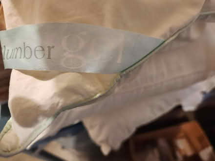 Photo of free Old pillows (Central San Rafael) #4