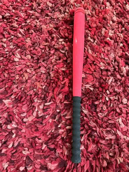 Photo of free Lightweight baseball style bat (Kemptown BN2) #1