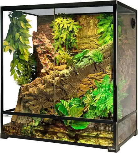Photo of Tall vivarium (Southchurch SS2) #1