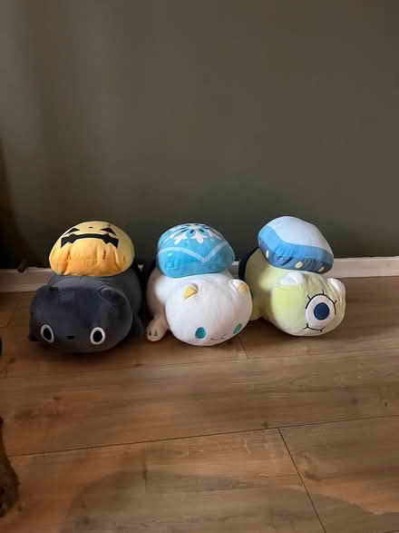 Photo of free 3 Kenji Plushies (Bromsgrove B61) #1