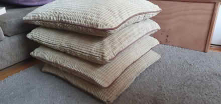 Photo of free 4 large green cushions (Hartington Road BN2) #2