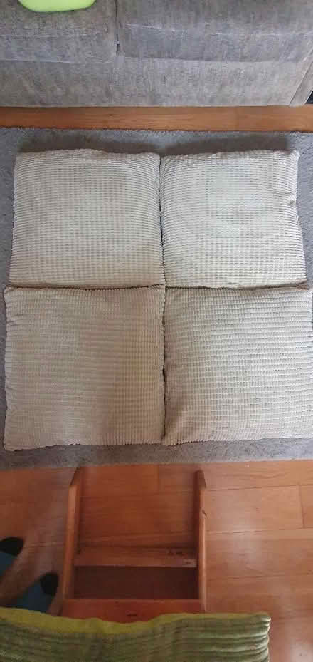 Photo of free 4 large green cushions (Hartington Road BN2) #1
