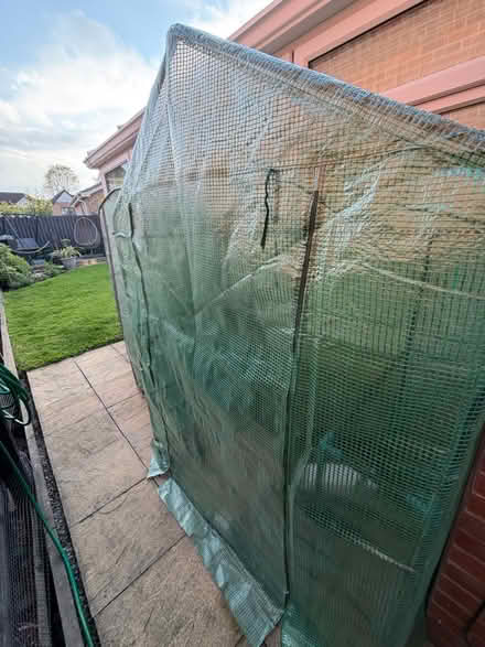 Photo of free Greenhouse - large 6ft height (S35 Chapeltown) #1